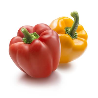 Teinture mère ou extrait de plantes Capsicum Annuum-Piment des jardins BIO