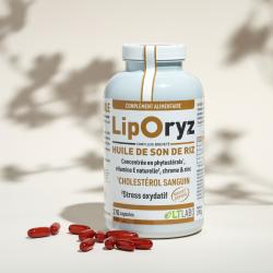 Liporyz