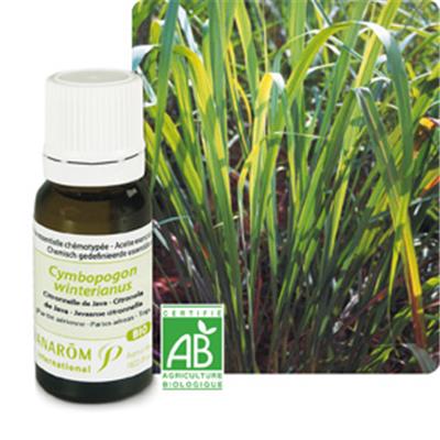 Huile essentielle Citronnelle BIO-Cymbopogon citratus BIO