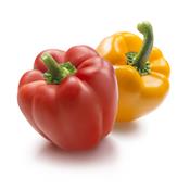 Teinture mère ou extrait de plantes Capsicum Annuum-Piment des jardins BIO