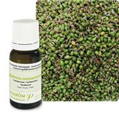 Huile essentielle Cardamone-Elettaria cardamomum